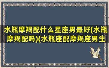 水瓶摩羯配什么星座男最好(水瓶摩羯配吗)(水瓶座配摩羯座男生)