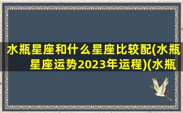 水瓶星座和什么星座比较配(水瓶星座运势2023年运程)(水瓶星座跟什么星座最配)