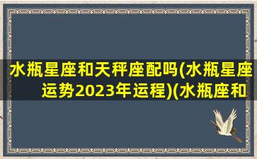 水瓶星座和天秤座配吗(水瓶星座运势2023年运程)(水瓶座和天秤座的匹配指数)