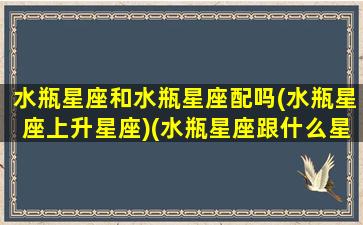 水瓶星座和水瓶星座配吗(水瓶星座上升星座)(水瓶星座跟什么星座天生一对)