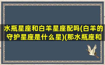 水瓶星座和白羊星座配吗(白羊的守护星座是什么星)(那水瓶座和白羊座呢)