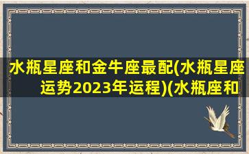 水瓶星座和金牛座最配(水瓶星座运势2023年运程)(水瓶座和金牛座的配对值)