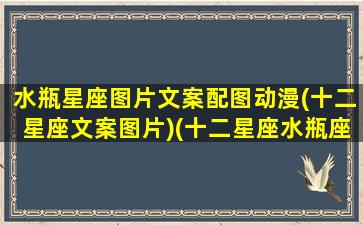 水瓶星座图片文案配图动漫(十二星座文案图片)(十二星座水瓶座人画可爱的图片)