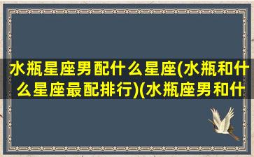 水瓶星座男配什么星座(水瓶和什么星座最配排行)(水瓶座男和什么星座最搭配)