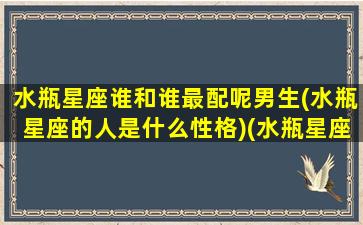 水瓶星座谁和谁最配呢男生(水瓶星座的人是什么性格)(水瓶星座与什么星座最配)