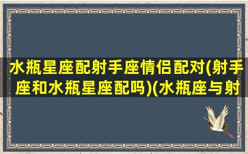 水瓶星座配射手座情侣配对(射手座和水瓶星座配吗)(水瓶座与射手座匹配度)