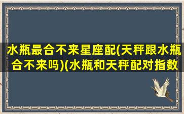 水瓶最合不来星座配(天秤跟水瓶合不来吗)(水瓶和天秤配对指数是所有星座最高的)