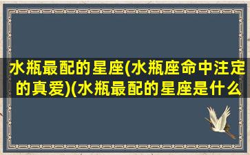 水瓶最配的星座(水瓶座命中注定的真爱)(水瓶最配的星座是什么)