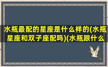 水瓶最配的星座是什么样的(水瓶星座和双子座配吗)(水瓶跟什么星座最配对指数)