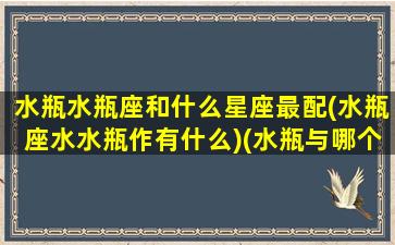 水瓶水瓶座和什么星座最配(水瓶座水水瓶作有什么)(水瓶与哪个星座最配)