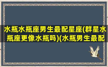 水瓶水瓶座男生最配星座(群星水瓶座更像水瓶吗)(水瓶男生最配星座配对)