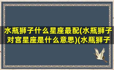 水瓶狮子什么星座最配(水瓶狮子对宫星座是什么意思)(水瓶狮子是对宫吗)