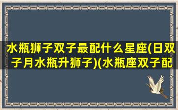 水瓶狮子双子最配什么星座(日双子月水瓶升狮子)(水瓶座双子配对)