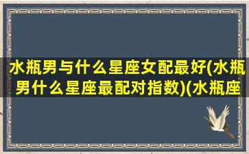 水瓶男与什么星座女配最好(水瓶男什么星座最配对指数)(水瓶座男和什么星座女最合适)