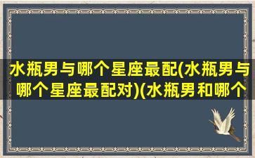 水瓶男与哪个星座最配(水瓶男与哪个星座最配对)(水瓶男和哪个星座配)