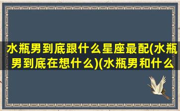 水瓶男到底跟什么星座最配(水瓶男到底在想什么)(水瓶男和什么星座最配对指数)