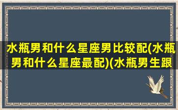 水瓶男和什么星座男比较配(水瓶男和什么星座最配)(水瓶男生跟什么星座最配)