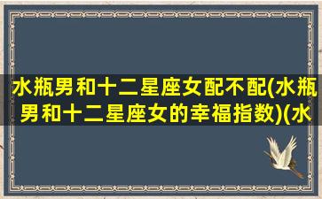 水瓶男和十二星座女配不配(水瓶男和十二星座女的幸福指数)(水瓶男和哪种星座女生最配)