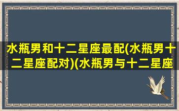 水瓶男和十二星座最配(水瓶男十二星座配对)(水瓶男与十二星座女)