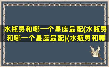 水瓶男和哪一个星座最配(水瓶男和哪一个星座最配)(水瓶男和哪个星座最匹配)