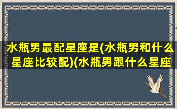 水瓶男最配星座是(水瓶男和什么星座比较配)(水瓶男跟什么星座最配对)