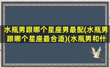 水瓶男跟哪个星座男最配(水瓶男跟哪个星座最合适)(水瓶男和什么星座最配对指数)