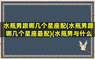 水瓶男跟哪几个星座配(水瓶男跟哪几个星座最配)(水瓶男与什么星座)