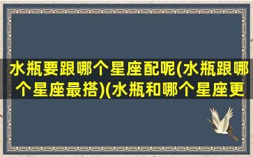 水瓶要跟哪个星座配呢(水瓶跟哪个星座最搭)(水瓶和哪个星座更配)