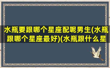 水瓶要跟哪个星座配呢男生(水瓶跟哪个星座最好)(水瓶跟什么星座匹配呀)