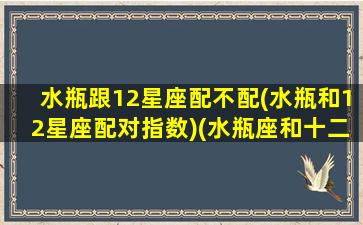 水瓶跟12星座配不配(水瓶和12星座配对指数)(水瓶座和十二星座的配对)