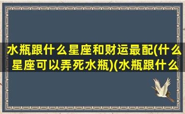 水瓶跟什么星座和财运最配(什么星座可以弄死水瓶)(水瓶跟什么星座最配当情侣)