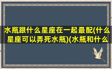 水瓶跟什么星座在一起最配(什么星座可以弄死水瓶)(水瓶和什么星座比较合适)