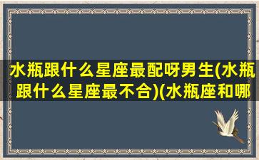 水瓶跟什么星座最配呀男生(水瓶跟什么星座最不合)(水瓶座和哪个星座男最配)