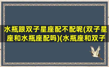 水瓶跟双子星座配不配呢(双子星座和水瓶座配吗)(水瓶座和双子星座合适吗)