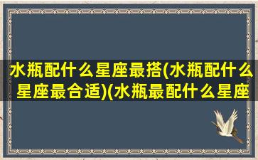 水瓶配什么星座最搭(水瓶配什么星座最合适)(水瓶最配什么星座的话)