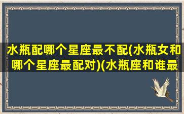 水瓶配哪个星座最不配(水瓶女和哪个星座最配对)(水瓶座和谁最不般配)