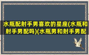 水瓶配射手男喜欢的星座(水瓶和射手男配吗)(水瓶男和射手男配不配)