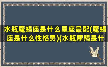 水瓶魔蝎座是什么星座最配(魔蝎座是什么性格男)(水瓶摩羯是什么星座)