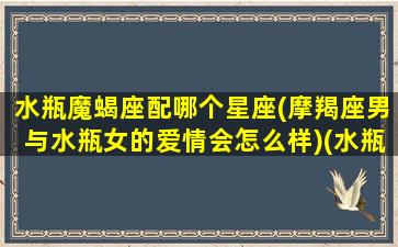 水瓶魔蝎座配哪个星座(摩羯座男与水瓶女的爱情会怎么样)(水瓶和魔蝎合适吗)