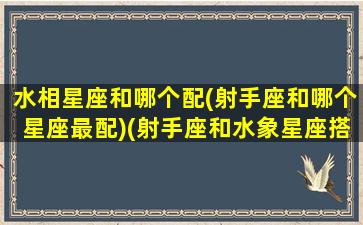 水相星座和哪个配(射手座和哪个星座最配)(射手座和水象星座搭么)