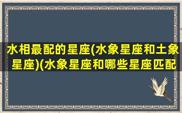 水相最配的星座(水象星座和土象星座)(水象星座和哪些星座匹配)