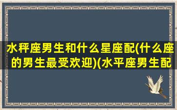 水秤座男生和什么星座配(什么座的男生最受欢迎)(水平座男生配什么星座女生)