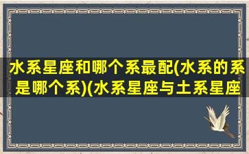 水系星座和哪个系最配(水系的系是哪个系)(水系星座与土系星座)