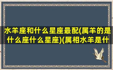 水羊座和什么星座最配(属羊的是什么座什么星座)(属相水羊是什么意思)