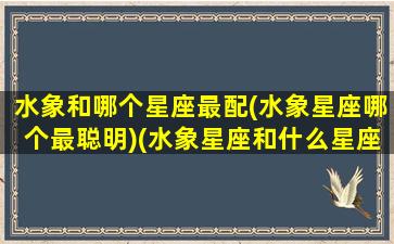 水象和哪个星座最配(水象星座哪个最聪明)(水象星座和什么星座比较配)