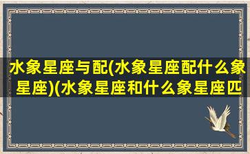 水象星座与配(水象星座配什么象星座)(水象星座和什么象星座匹配)