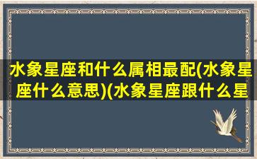 水象星座和什么属相最配(水象星座什么意思)(水象星座跟什么星座合适)