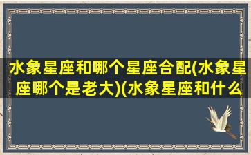 水象星座和哪个星座合配(水象星座哪个是老大)(水象星座和什么象星座合适)