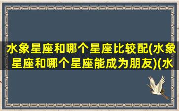 水象星座和哪个星座比较配(水象星座和哪个星座能成为朋友)(水象星座和哪象星座合适)