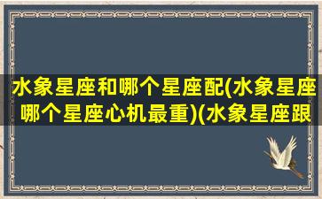 水象星座和哪个星座配(水象星座哪个星座心机最重)(水象星座跟什么星座最配)